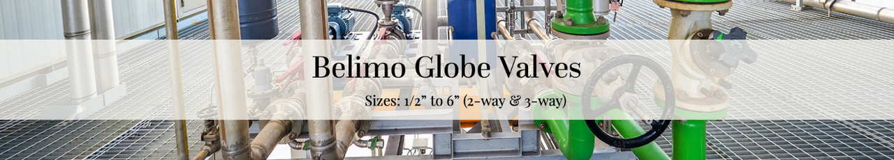 Globe Valves